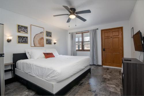 Balsam Lake Apartment | Lumber Jill Lodge 17 King Bed Retreat