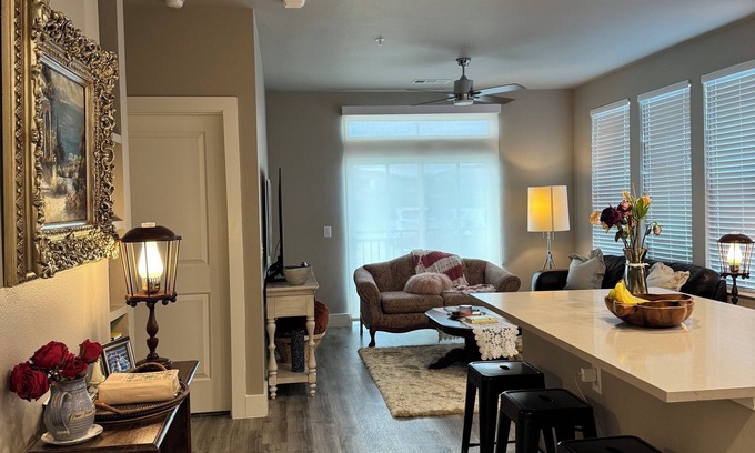 College Station Apartment | Lux College Station Apartment