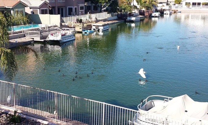 Arrowhead Lakes House | Lux resort: Heated pool , pontoon boat , paddle boat and fishing. new A/C's