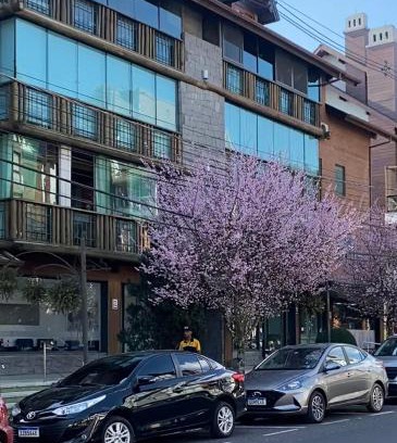 Gramado City Centre Apartment | LUXUOSO APT ALMERIS PECCIN no Centro de GRAMADO