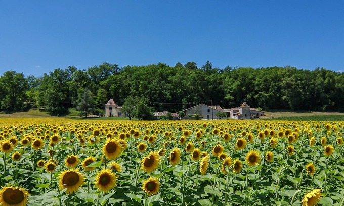Razac-d'Eymet Cottage | Luxury 1 bd gite. Rural & Peaceful. Eymet just 5 mins away. Fast Starlink WIFI.