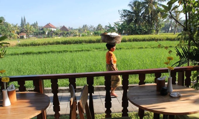 Penestanan Villa | Luxury 2 BR Private Pool Vila Nice Paddies Field View