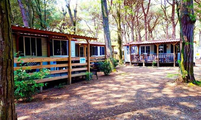 Lido di Spina Ski Chalet | Luxury Chalet near the sea! (no: 805)