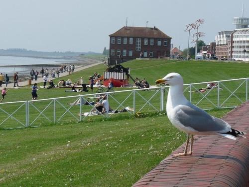 Innenhafen Apartment | Luxus Kapitänswohnung 'Helgoland-Avantgarde'
