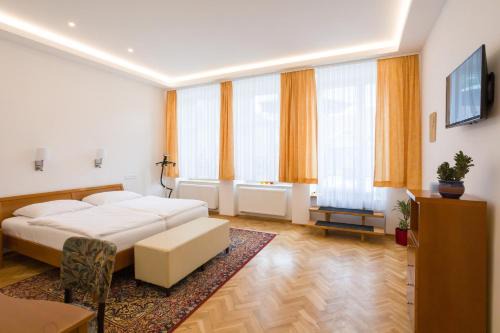 Litomysl Apartment | Luxusní velký apartmán s terasou v centru Litomyšle