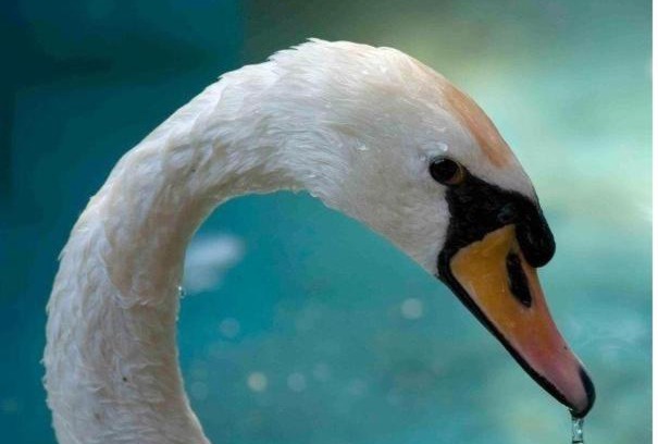 Krinidhes Hotel | Lydia Hotel