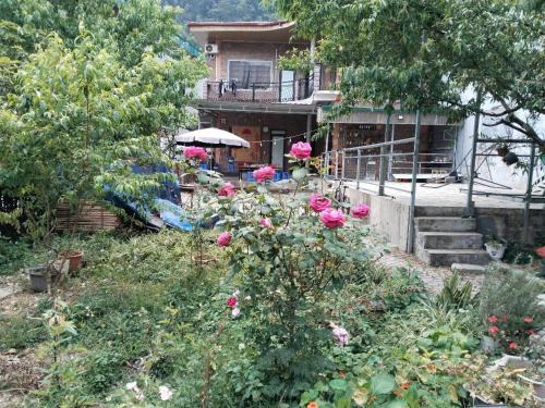 Mang Yang House | Mẩy Gấu Homestay