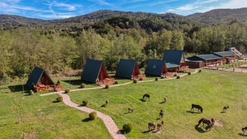 Central Serbia Apartment | Magareće Mleko Eko Farma Sisevac Wellness&Spa