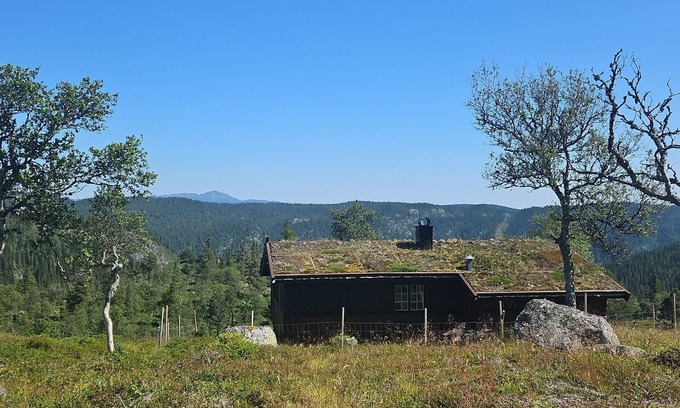Vinje Cabin | Magic View | Unspoiled nature | Summer mountain pasture with goats