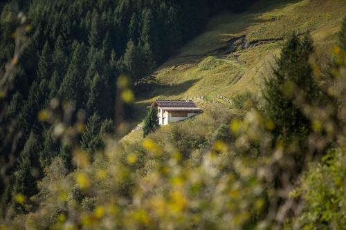 Mesocco Ski Chalet | Maiensäss, Berghütte Pundelon - autark, voll ausgestattet, Ressourcen begrenzt