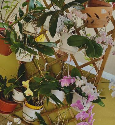 L'Houezel House | Maison créole authentique