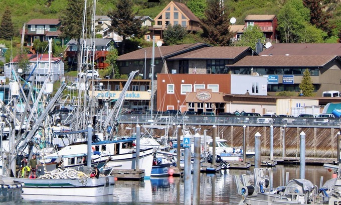 Kodiak House | π» Majestic Bear- Central Location with Spectacular Views ππ¦
π£πβοΈπ¦¦
