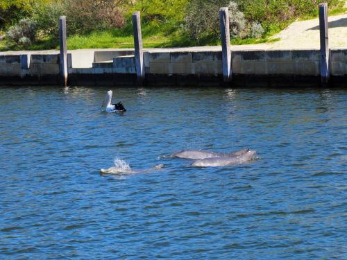 Wannanup House | Mandurah Island Retreat