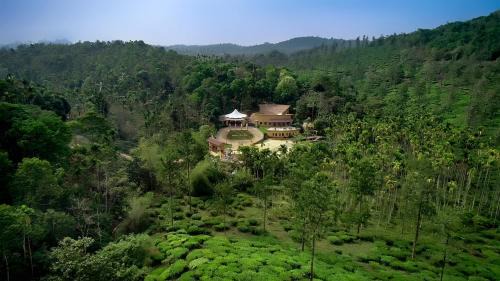 Vayittiri Resort | Maple Ash Resort
