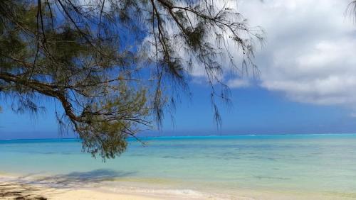 Tubuai Bed & Breakfast | Mara'ai le spot Tubuai Chambre triple Taahueia Deluxe SDB privée avec piscine