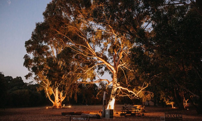 Margaret River Cottage | Margaret River Holiday Cottages