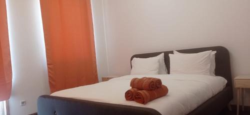 Aveiro Cabin | Marsus