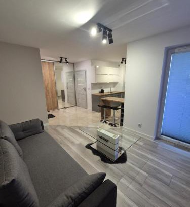 Libertow Apartment | Megga Apartament z Garażem, FV