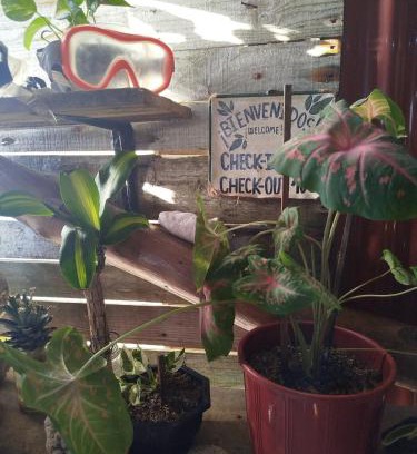 Bocachica Bed & Breakfast | Mi Cabañita Guest House