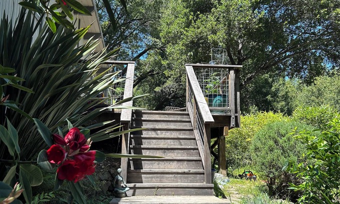 Picnic Valley House | Mid Century Modern 3-bedroom house with outdoor spaces and a ton of light