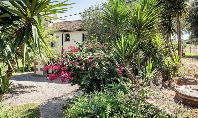 Los Barrios House | Mill house on Organic Cork and Cattle Farm with Summer Camp for Children