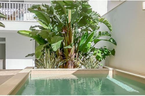Qawra Apartment | Modern Beautiful Pool And Sea Apt Qawra - Happy Rentals