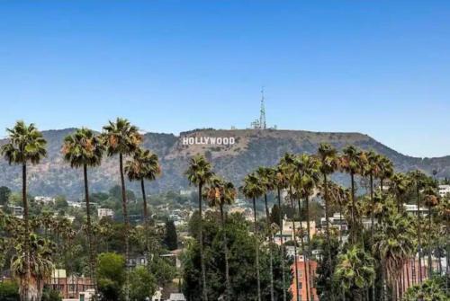 Hollywood Apartment | Modern Escape in Hollywood with Rooftop & City Views