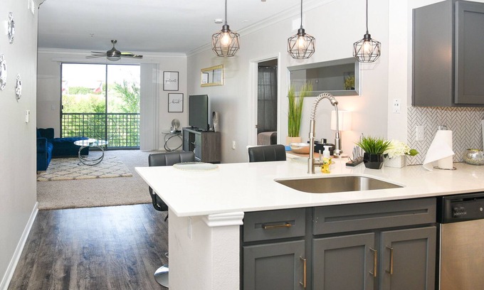 Braeswood Place Apartment | Modern Luxury/NRG/MEDICAL CENTER 2 Bed 2 Bath KING Beds