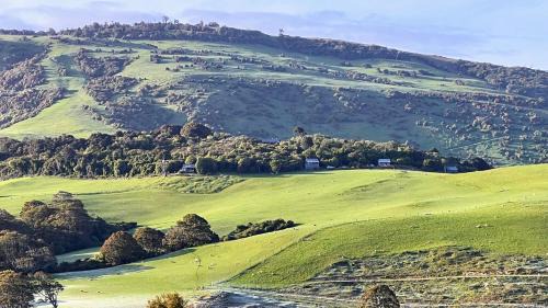 Owaka Ski Chalet | Mohua Park - Catlins Eco Accommodation