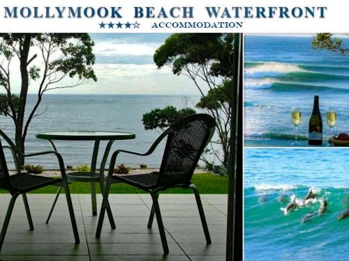 Mollymook Apartment | Mollymook Beach Waterfront