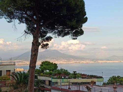 Naples Apartment | MONOCAMERA con TERRAZZOgiardino -STUDETTE -zona Panoramica POSILLIPO