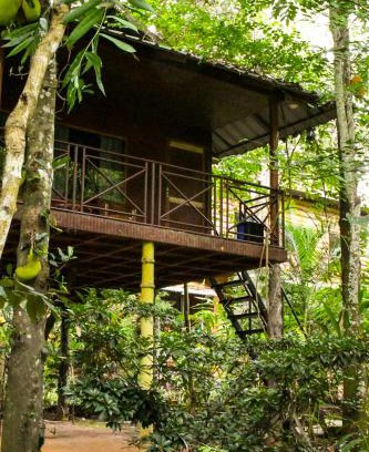 Pirmed Cabin | Monsoon Retreats Treehouse