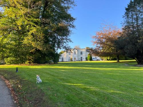Liskeard Bed & Breakfast | Moorswater Lodge
