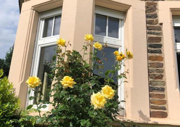 Reil Apartment | Mosel-Erker