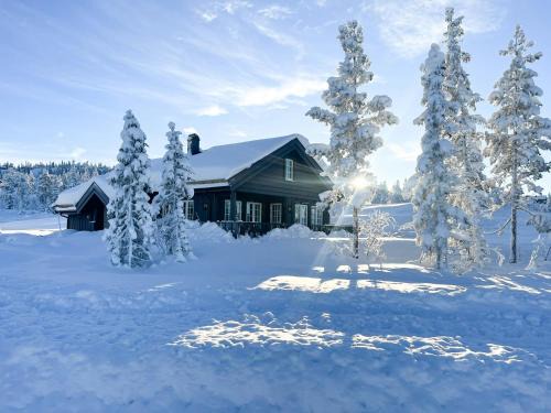 Nes House | Mountain Cabin With Panoramic View In Nesbyen