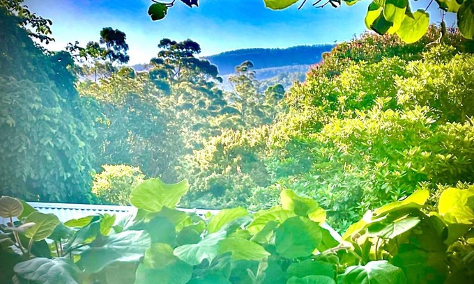 Warburton House | Mountain Cottage Room With Nature Views