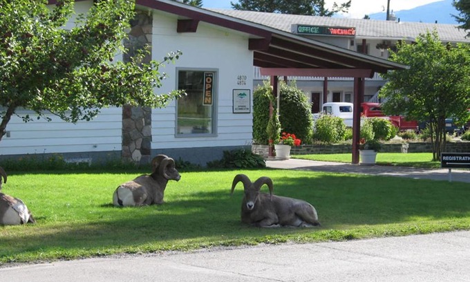 East Kootenay Hotel | Mountain Springs Motel
