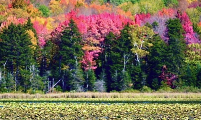 Mount Holly House | MT Holly Ski/lake house hideaway(Avail. Daily, weekends & seasonally Dec-April)