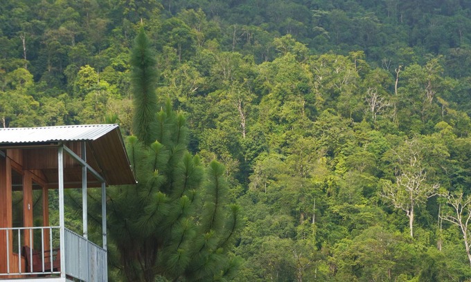 Baru Cabin | Native Baru : Morpho Cabin