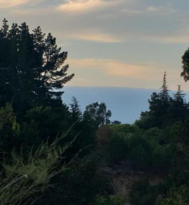 Algarrobo House | Naturaleza viva