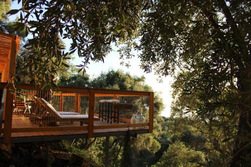 Pentati Other | Nature Habitat