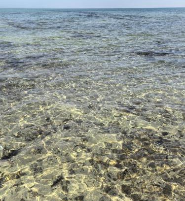 Al Gharbia House | NatureLand Beach Villa