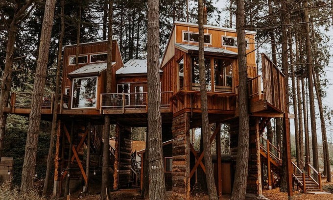 Port Angeles Cabin | Nest · Treehouse on the Water -Eagles Nest-20 ft high