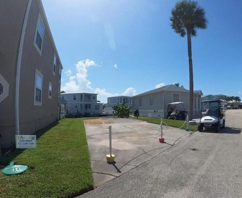 Nettles Island Other | Nettles Island 0024