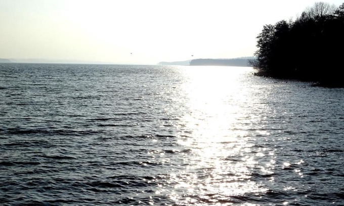 Broda Apartment | Neubrandenburg-Wasser,Natur,Zentrum,Ladestation für E-Autos