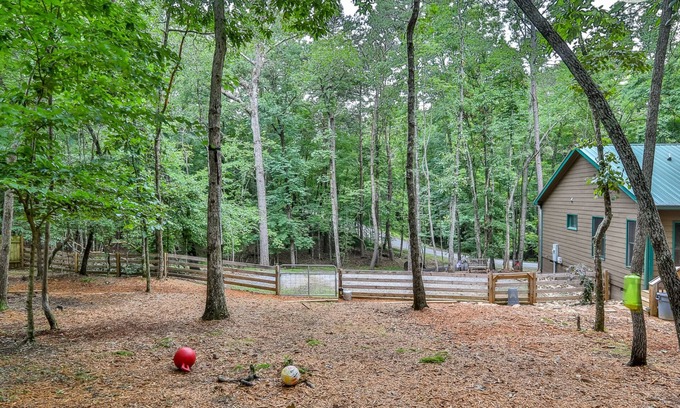 Ellijay Cabin | *NEW*Chet's Place FREE PETS King Bed Firepit