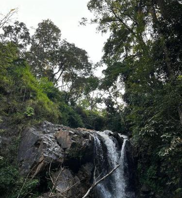 Stuart Hill House | New Garden View