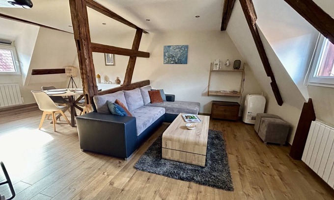 Eguisheim Apartment | New ! Les Toits du Rempart * in the heart of Eguisheim