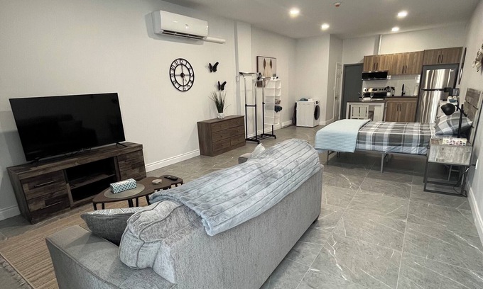 Walkerville Apartment | Newly renovated #MAIN floor bachelor unit