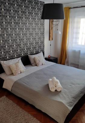 Miercurea-Ciuc Apartment | Nexus